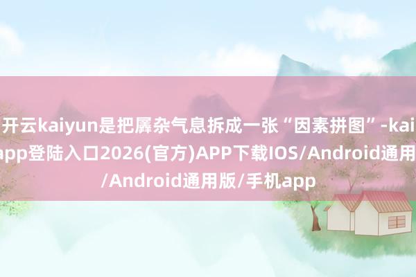 开云kaiyun是把羼杂气息拆成一张“因素拼图”-kai云体育网页app登陆入口2026(官方)APP下载IOS/Android通用版/手机app