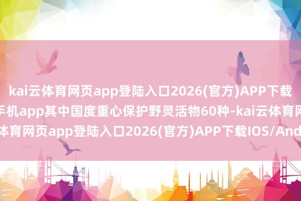 kai云体育网页app登陆入口2026(官方)APP下载IOS/Android通用版/手机app其中国度重心保护野灵活物60种-kai云体育网页app登陆入口2026(官方)APP下载IOS/Android通用版/手机app